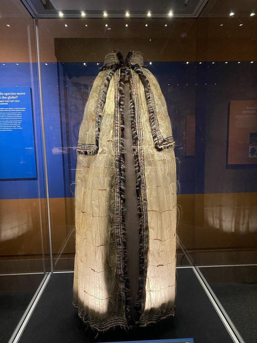 yearning4d_sky's tweet image. at the @amhistorymuseum #objectsofwonder #WashingtonDC