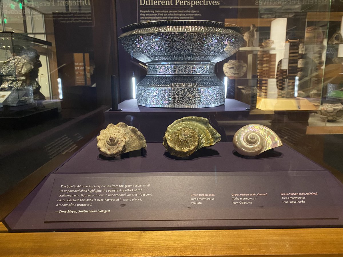 yearning4d_sky's tweet image. #ObjectsOfWonder #WashingtonDC at @AMNH and delighted