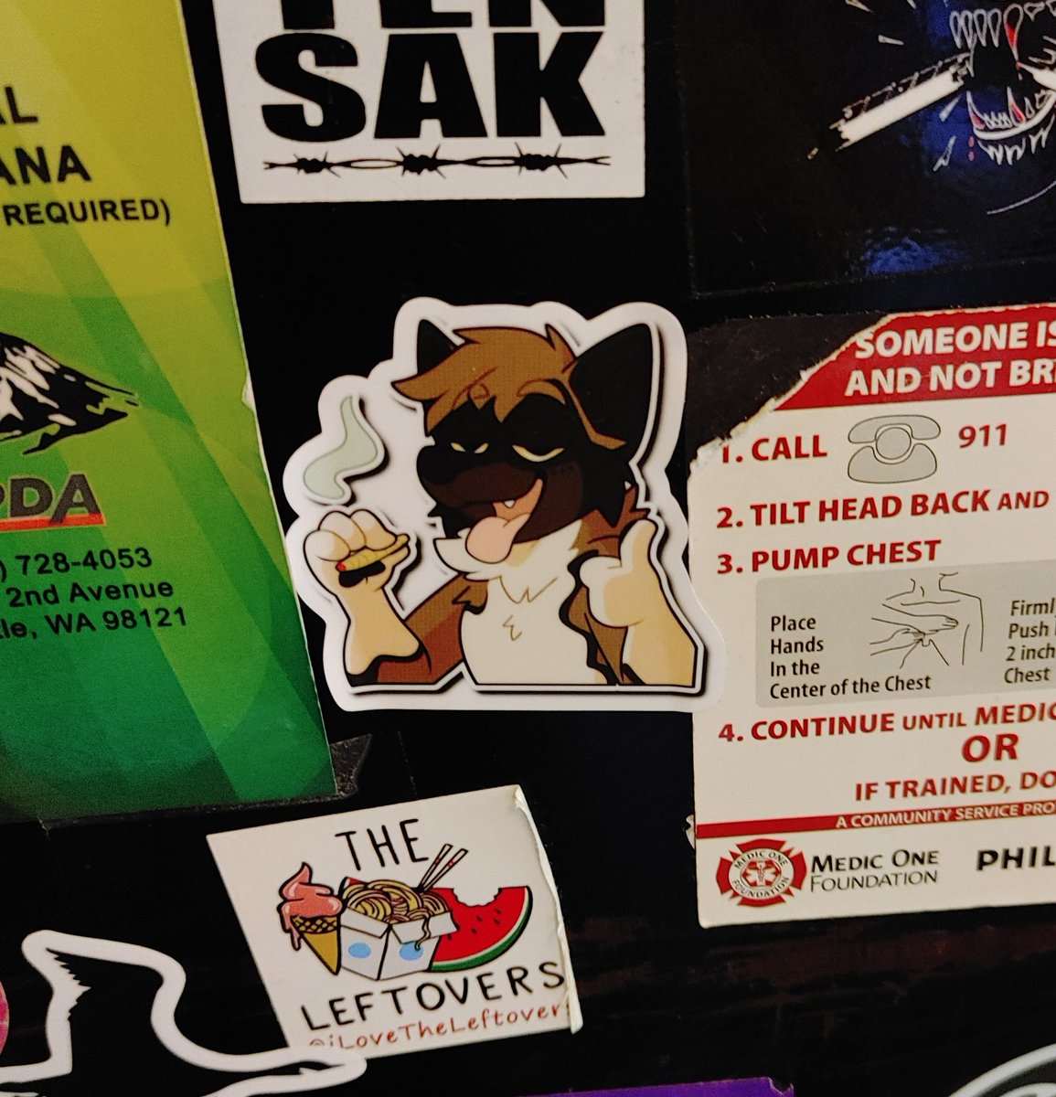 adelair_'s tweet photo. #whomst is in my hostel in Seattle? https://t.co/9YIRUCGn3N