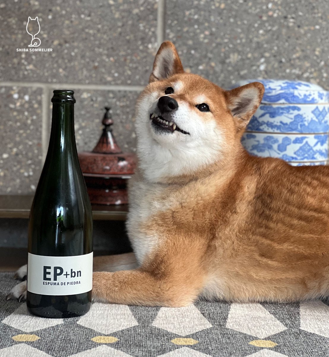 ShibaSommelier's tweet photo. Casa de Piedra “Espuma de Piedra EP + bn” Blanc de Noirs: #4bones of sparking wine from 🇲🇽!
Mexico is making some great wines - don't overlook them! https://t.co/qKGavWeAmP