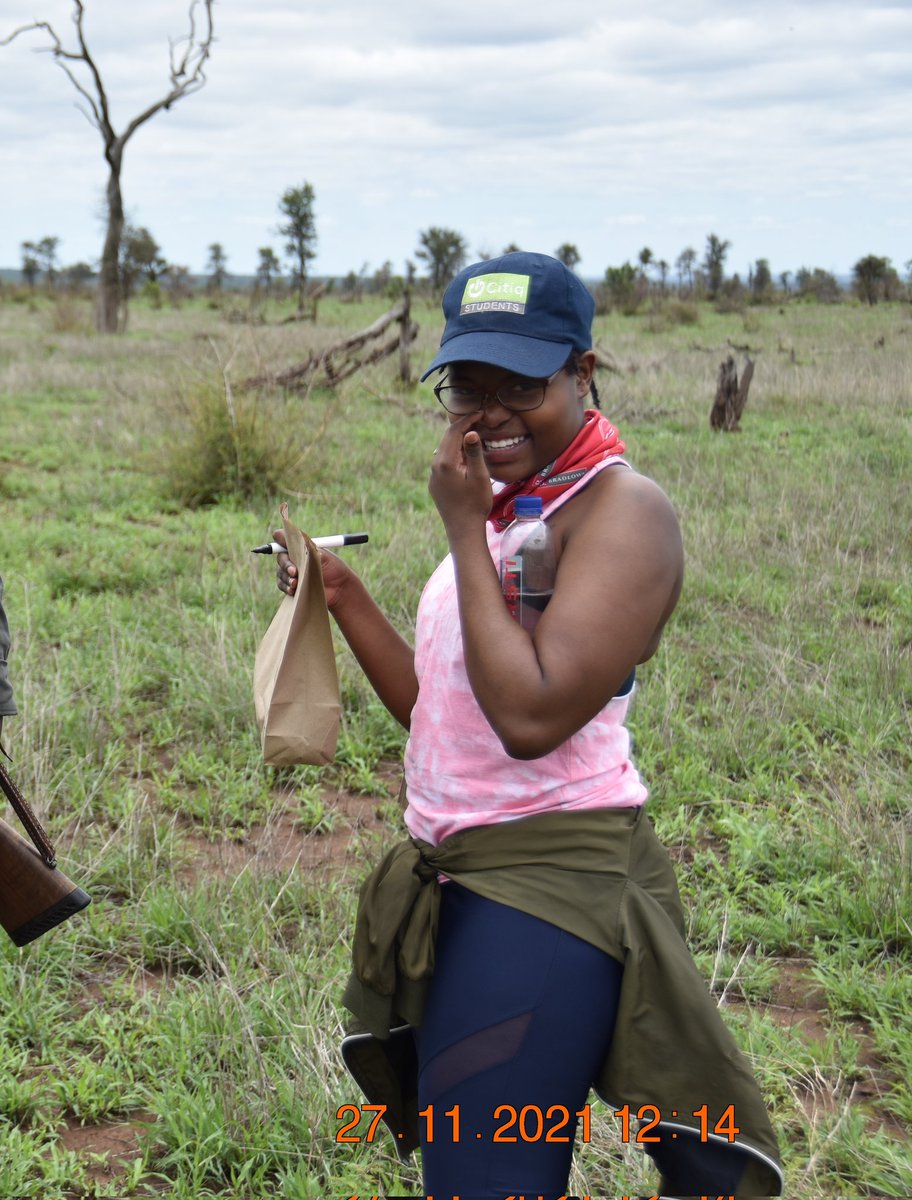 #BlackBotanistsRollCall 

I'm Londiwe, an Msc candidate at Wits university.

 My research is on quantifying the differences in drought strategies of C4 grasses using the and seeing how that affects flammability.

 I'm excited for this years #BlackBotanistsWeek2022