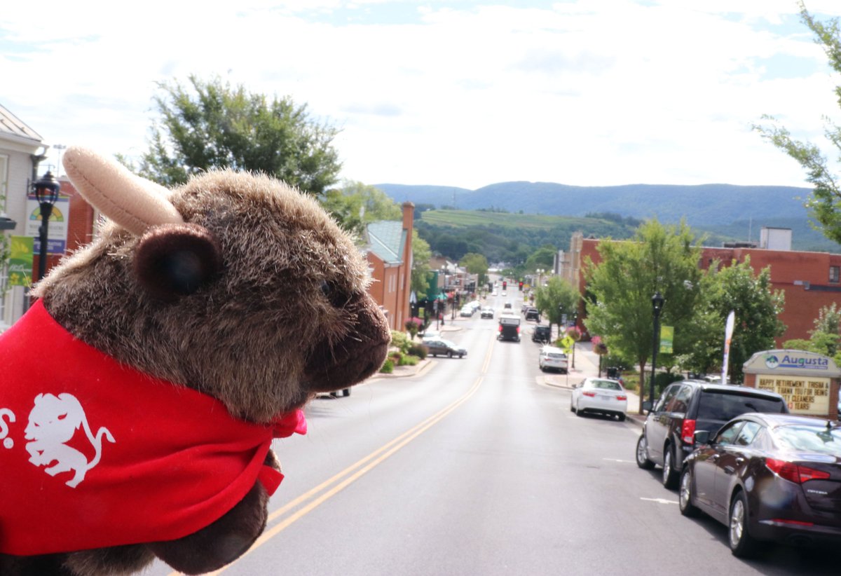 DerekMArmstrong's tweet photo. (Part 1) Ameritas' mascot, whom I have named Conan the Bison, wandered off and ended up in Waynesboro. I will be returning the furry beast to his home soon when I visit my brother in Lincoln. But before we left, I had to show him around. @Ameritas @LincolnChamber @VisitWaynesboro https://t.co/xaHG9bTpKw
