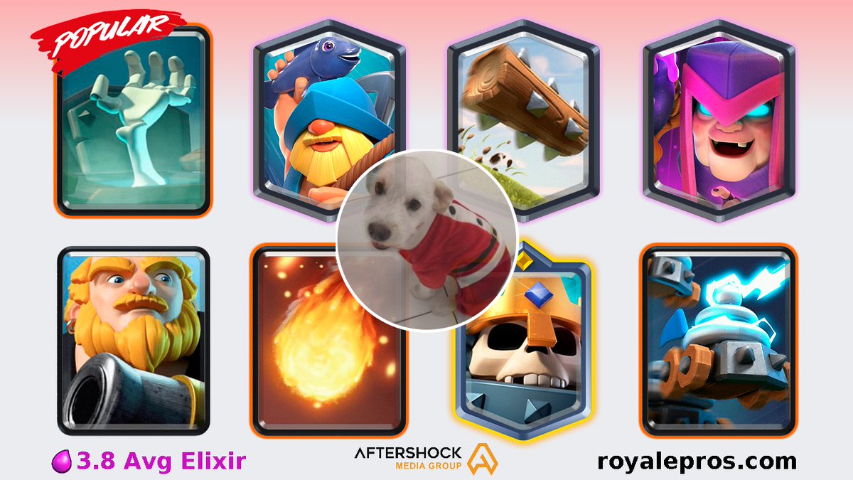 RoyalePros (Team CMC Bot) tweet media