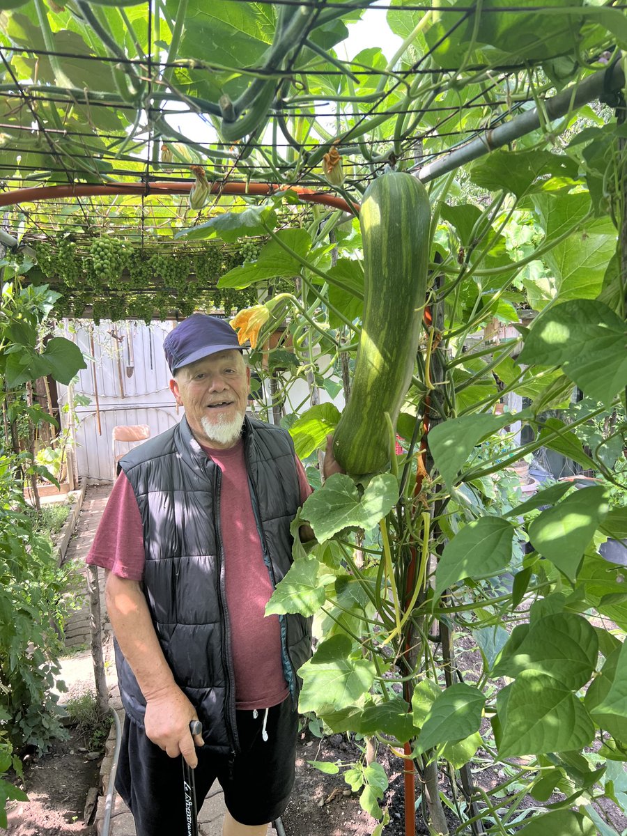 roccorossiTO's tweet photo. Visiting my Dad in his backyard garden with his Award-winning zucchini!!!! #UrbanAgriculture #BackyardToTable https://t.co/RypvdPOGFk