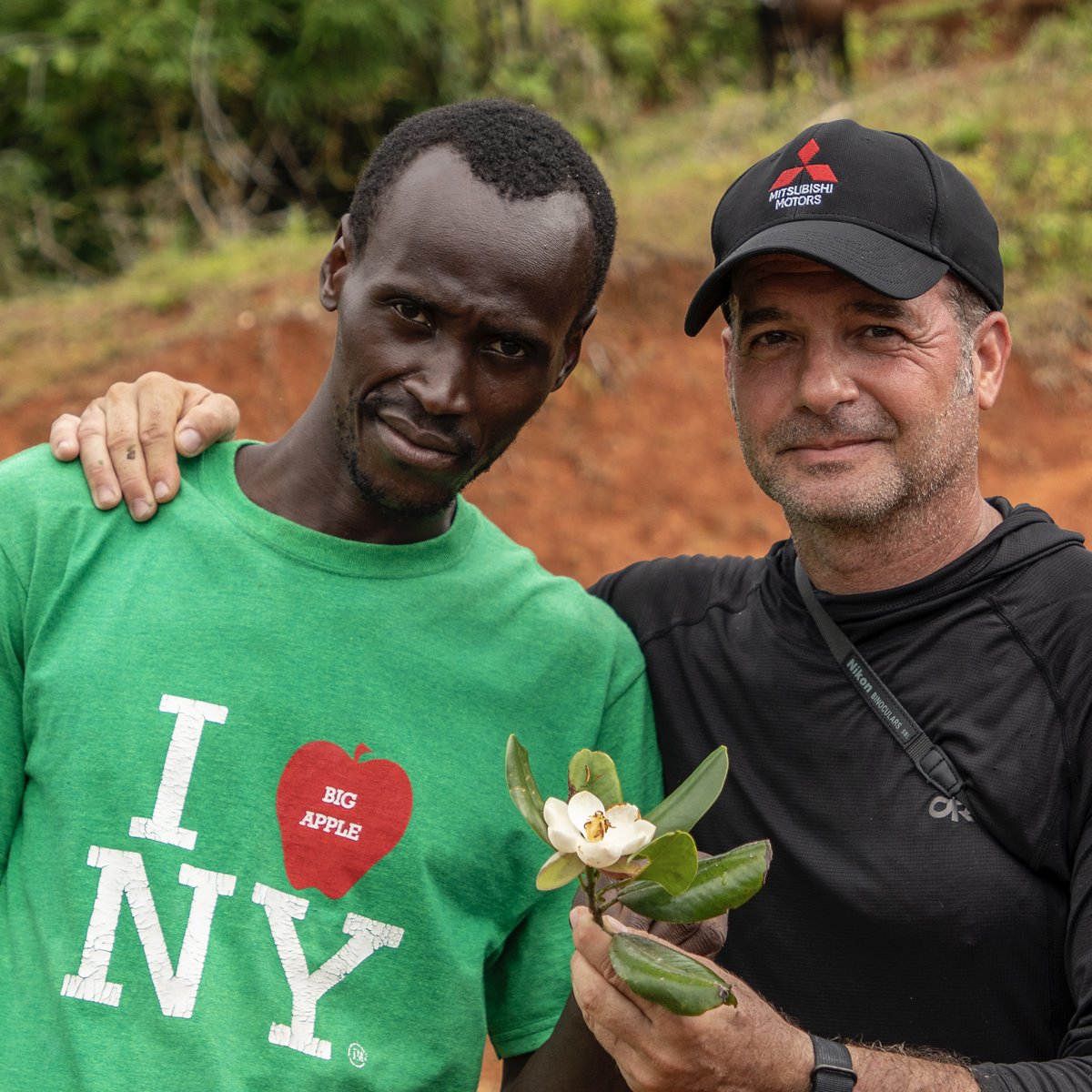 rewild's tweet image. Rediscovered Northern Haiti Magnolia Tree spurs hope in Haiti - where just 1% of their original forests remain.

Expedition led by Re:wild partner, @haititrust, captures first-ever photos of this flowering tree, that has been lost to science for 97 years.

📸 : Eladio Fernandez