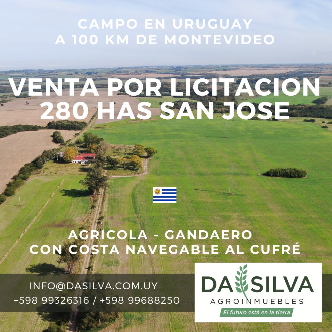 DaSilvaAgro's tweet photo. Campo en venta por licitacion. Establecimiento agrícola - ganadero, con costa de arroyo, en el limite de San José y Colonia. Recepcion de ofertas hasta el 2 de setiembre de 2022. Vea bases y condiciones en https://t.co/BcxEgBgUaa o comuniquese al 099326316. https://t.co/CLwBGNuzQY