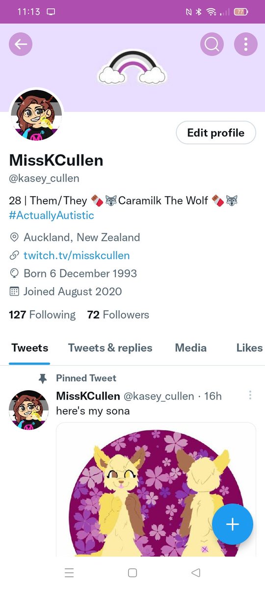 kasey_cullen's tweet image. My console overlay WITH alerts , my twitter , and my twitch (working on it) , are always pride or asexual themed , I&apos;m proud of myself to be apart of the pride family !! #consolestreaming #Asexuality #PrideFamily