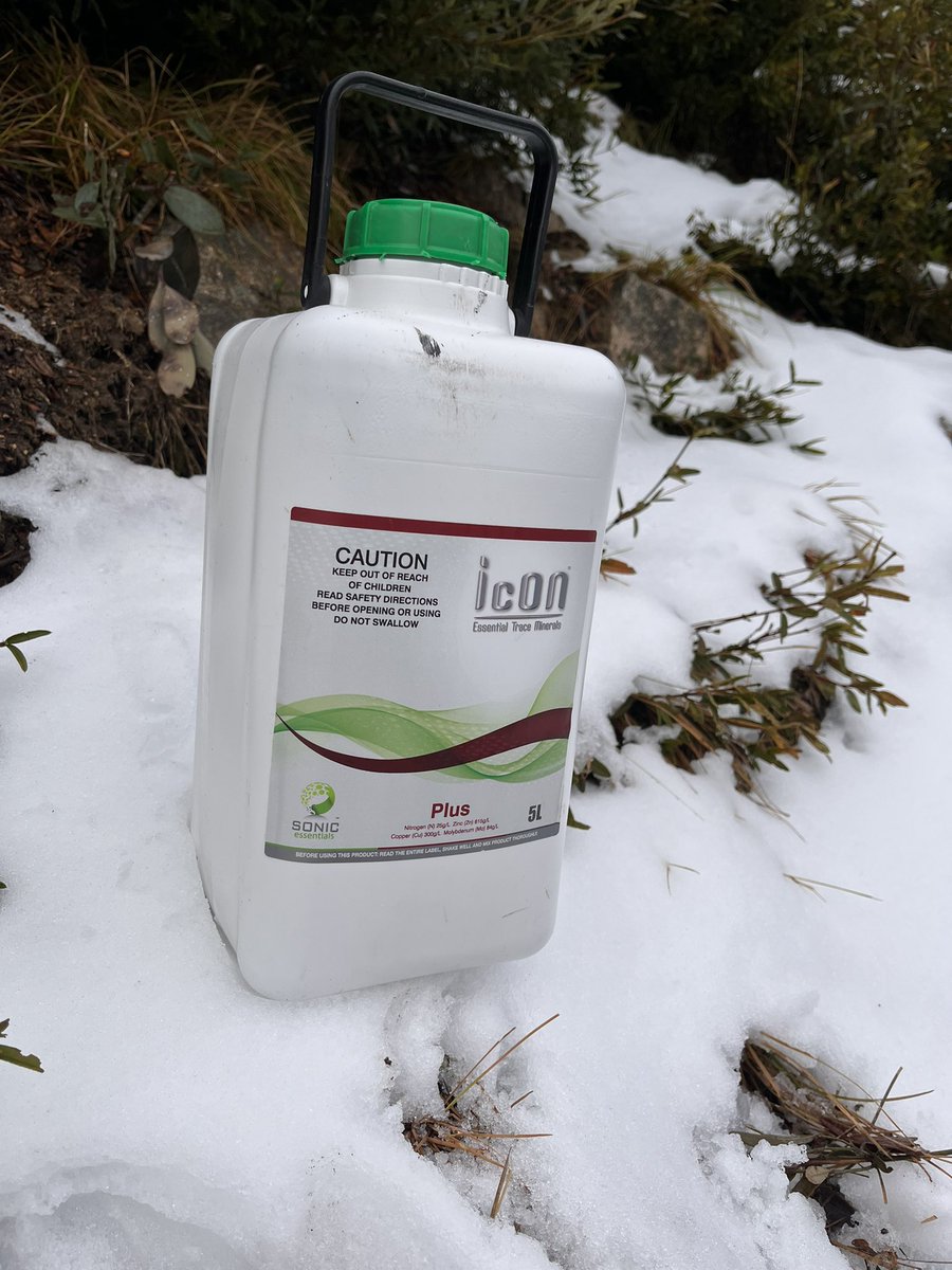 SonicEssentials's tweet photo. #IcONPlus on tour! Zinc can help with the cold weather but Plus has met it’s match today! #mountbuller🎿🏂⛷❄️☃ https://t.co/H6T6Pz1YRZ