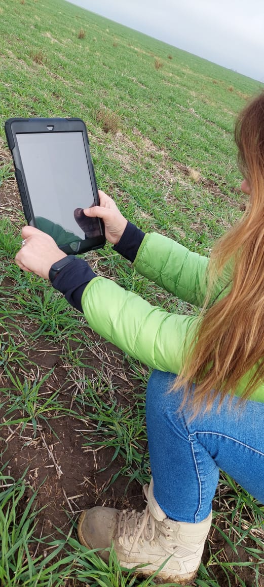 ShPosta's tweet photo. FieldView no nos deja mentir!! 😉
@FieldViewArg @Bayer4CropsAR @JoseB_Cba @juanigvilla https://t.co/Pq39CM2fMY