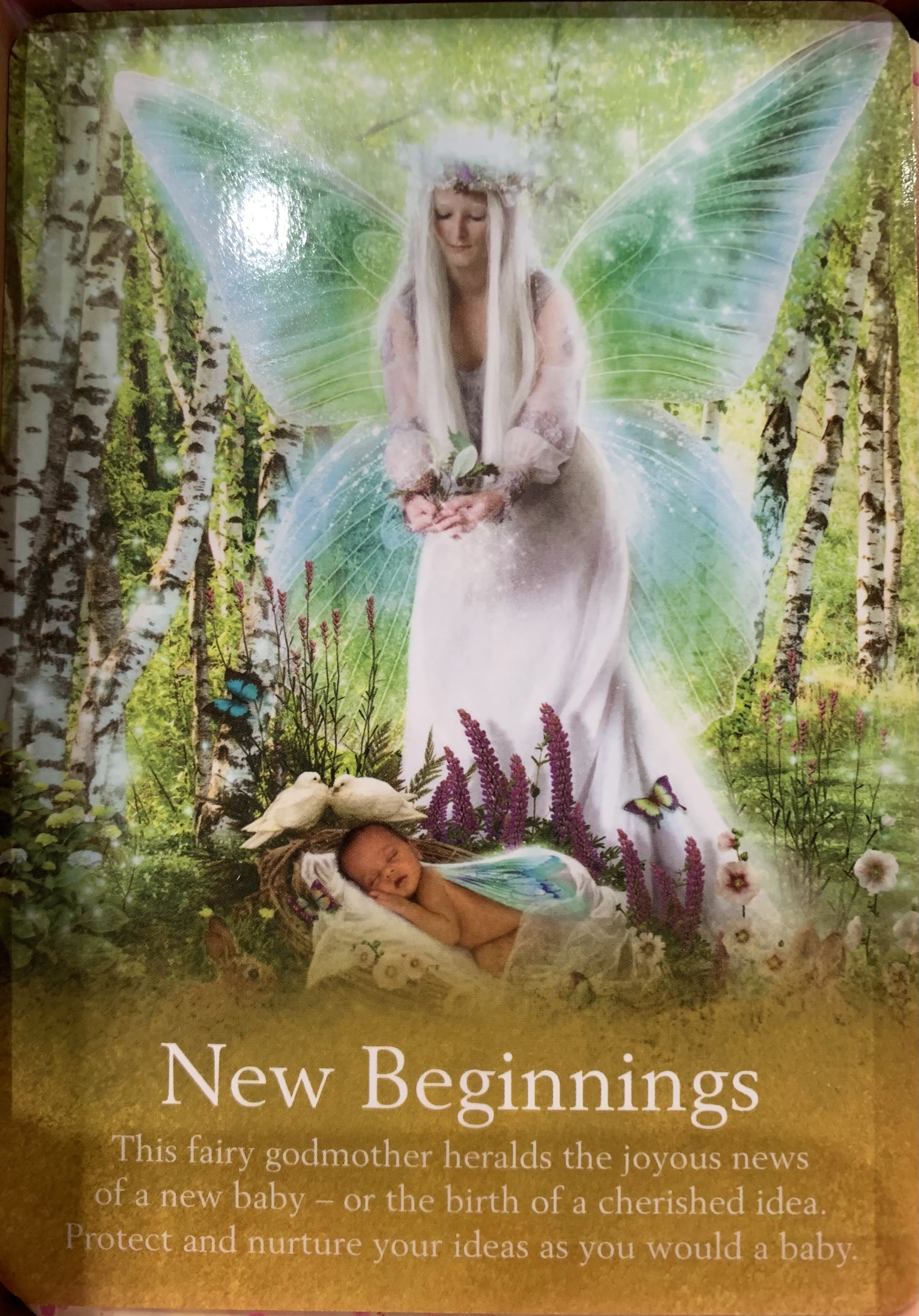 らなば 今日の一枚 New Beginnings 新しい始まり あなたに新しい始まりが来ました 赤ちゃんやgood Ideaが生まれます 周りに起きた時も 同じくらい喜びましょう あなたはその力をずっと宿していました こんなん出ました タロット Oracle T Co