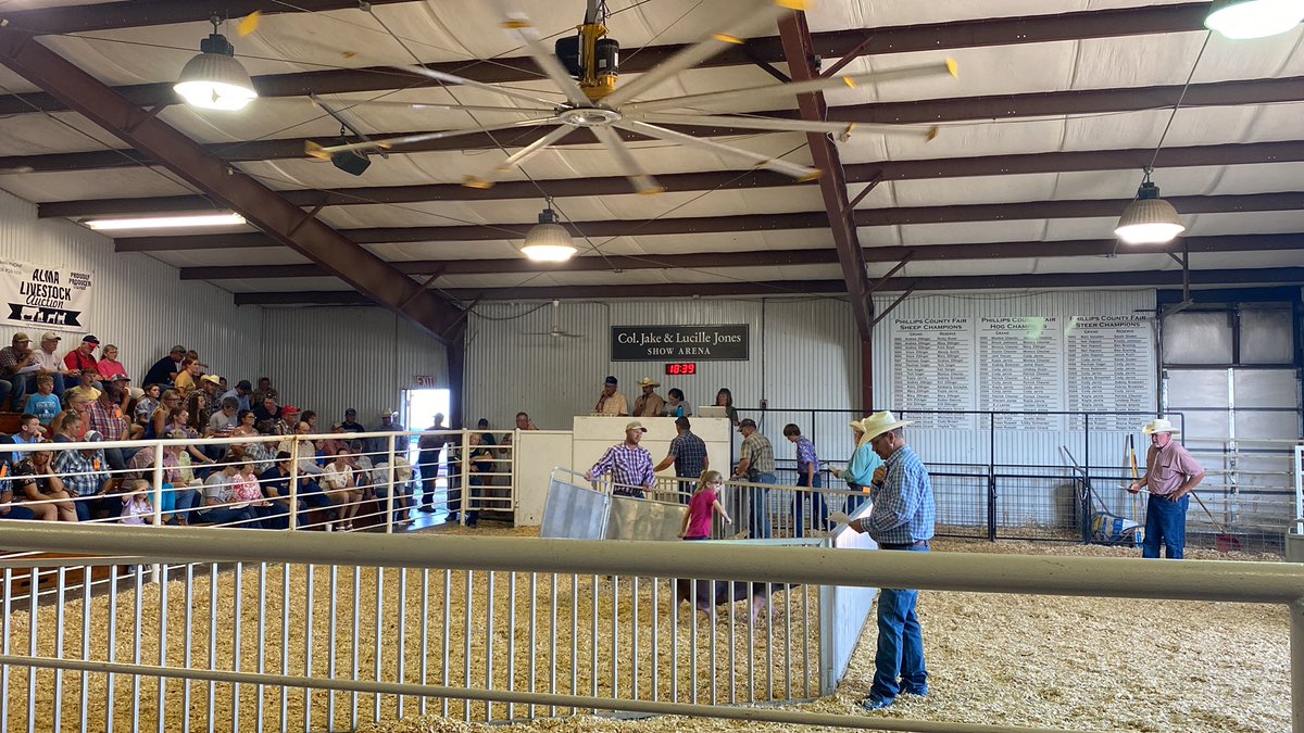 We have had a blast at the Russel and Osborne co fairs. Tonight we are at Phillips co 4-h auction. Pretty impressive lineup of market animals. Well done Phillips county!