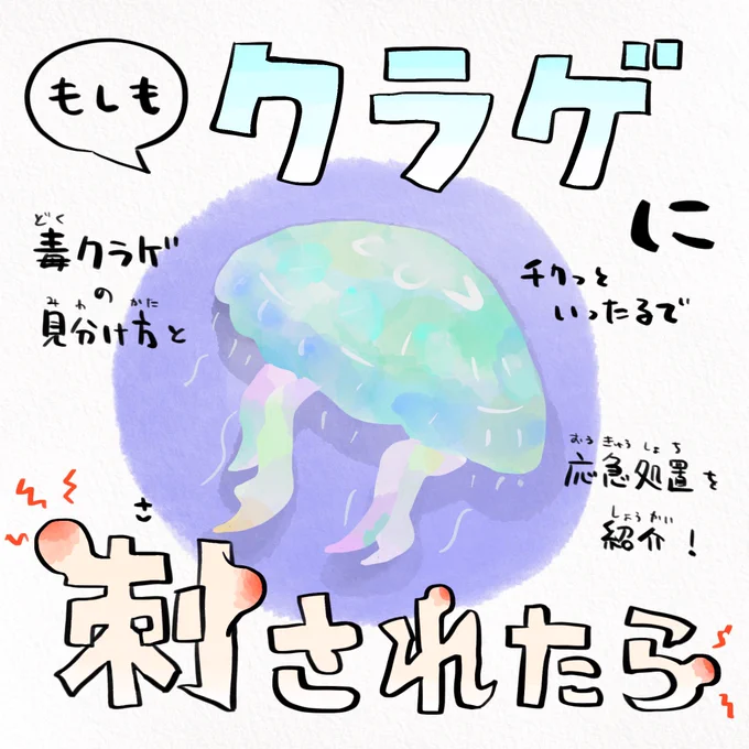 この夏、海水浴に行く人へ 