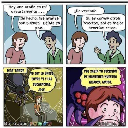 Esotericat_mx's tweet photo. ¿Miedo a las arañas?
No veo por qué... 😓 #humornegro #memesespanol #aracnofobia #terrorconhumor #horrortwt #HorrorFamily #HorrorFan #fansdelterror https://t.co/wEtp7Hjrsa