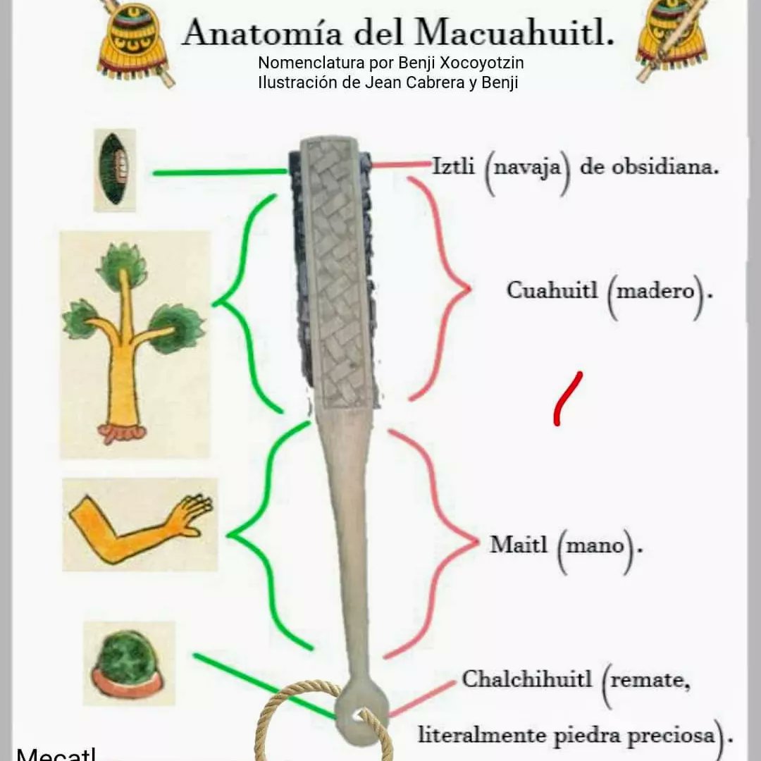 Junco Canché tweet media