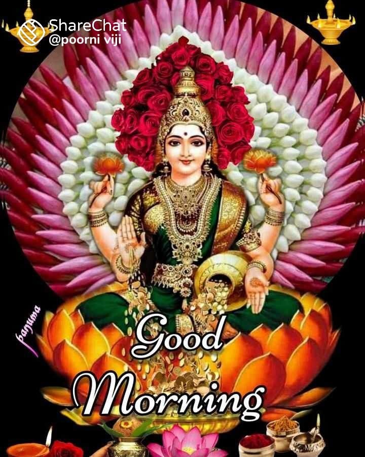 Mkguru22's tweet photo. Good morning https://t.co/KJcwfq9pGy