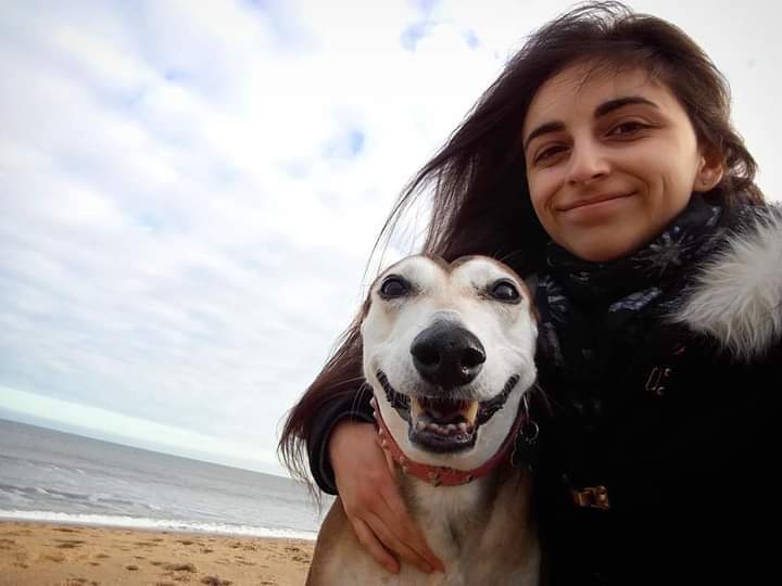 Lisa97Reed's tweet photo. Thinking of my wonderful Honey as I do every day. I hope she is having fun in the spirit world with my grandparents 💖

#Rescuedog #AdoptDontShop https://t.co/LkJGehYaQY