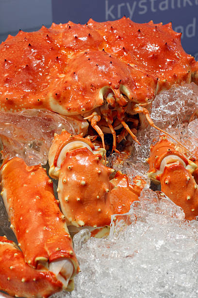 ExportTraders's tweet image. King crab available. 
Available Size:     1to 1.5kg, 1.5 to 2.5kg, 2.5 to 3.5kg, 3.5 to 4.5kg.