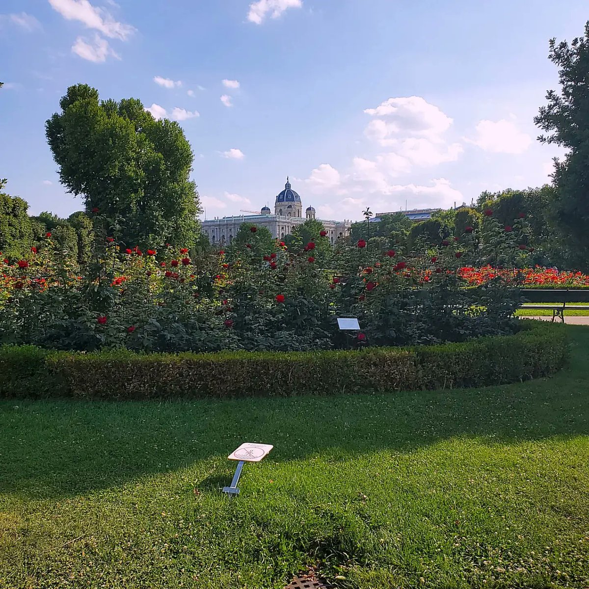_bee_la_'s tweet photo. Here are some pictures I took of Vienna. Some of them look like a Microsoft Screensaver https://t.co/Ds2kiPHeB4