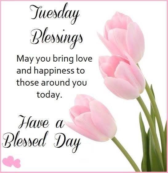 pascual2530's tweet photo. Good morning everyone!🌞🌷🌻

May this Tuesday morning bring a small positive thought that would turn your day into a beautiful one.

Happy Tuesday!  Enjoy your day!

@KissesDelavin
#KissesDelavin https://t.co/05svSATOh4