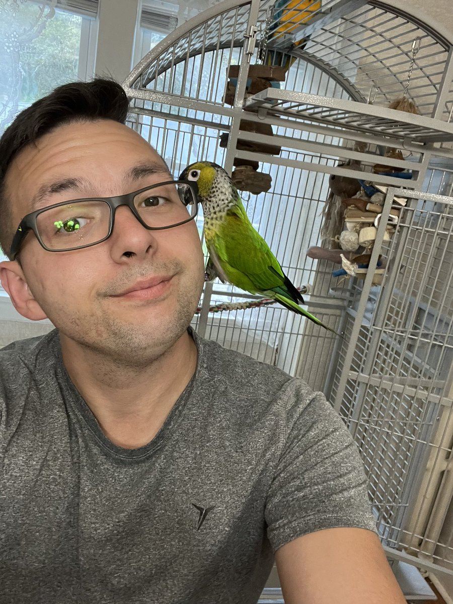 This bird is too freaking cute!