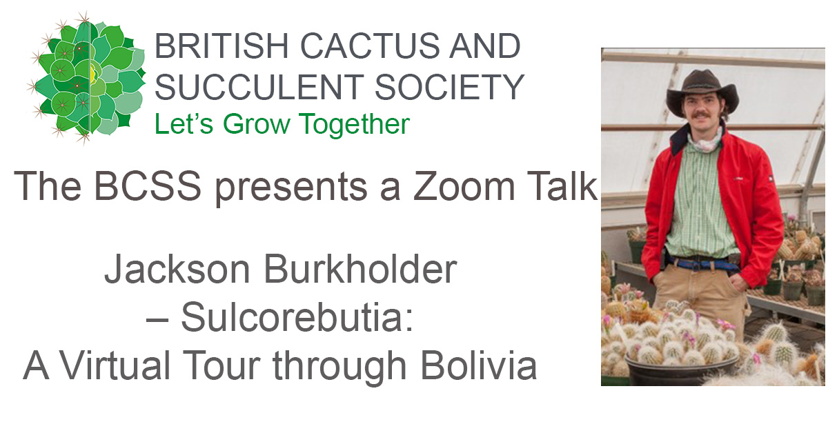 CactusSucculent's tweet image. CactusWorldLIVE!
Tues Aug 2 @ 19:30 BST
Jackson will start by introducing the taxonomy and biology of the genus Sulcorebutia. He will summarise some of the special care that these plants require to do well and put on large flowering displays.  
society.bcss.org.uk/index.php/onli…
