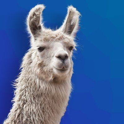 LlamaNeck tweet media