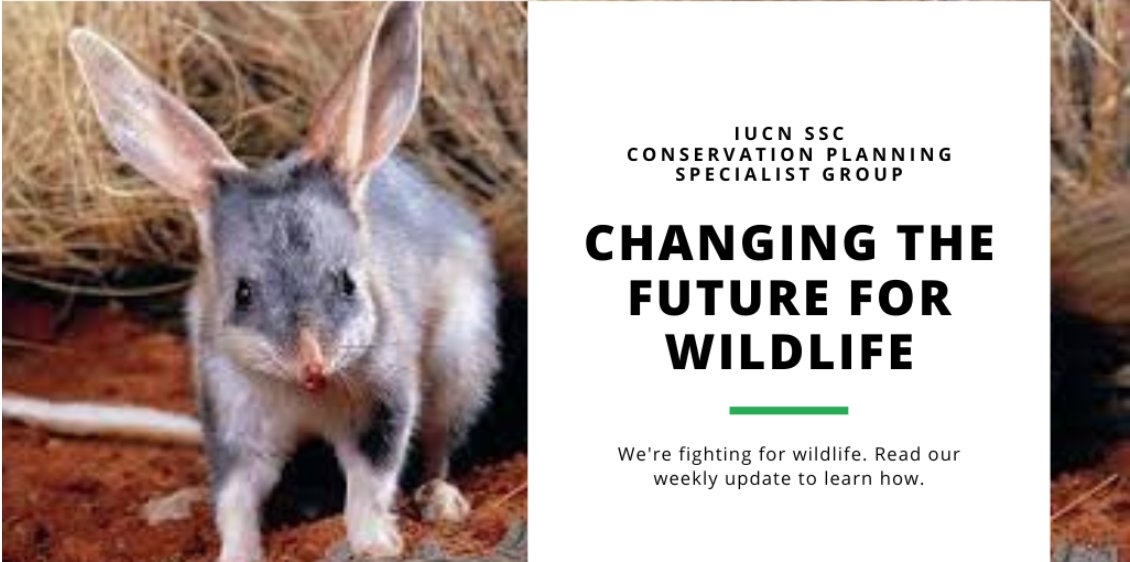 New update on CPSG's work! Exciting news on a special marsupial and from CPSG Europe. A reminder that early Annual Meeting registration ends Aug. 15! Check out the full update: mailchi.mp/cpsg/1aug2022e… 
#biodiversity #cpsg #iucncpsg #conservation