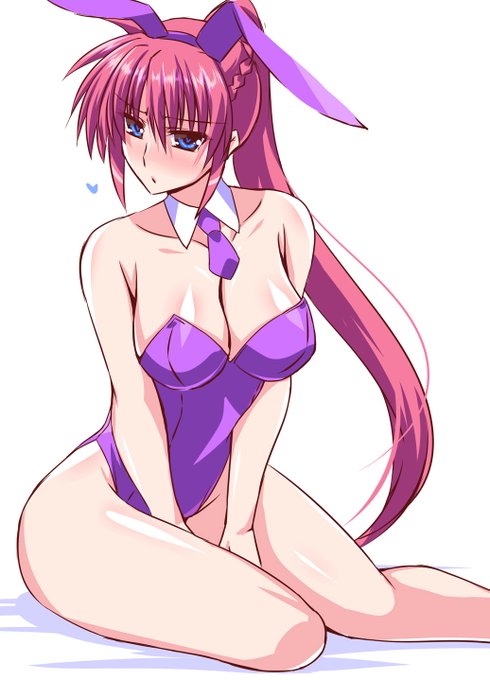 シグナムもバニーにしてたわ
#バニーの日 