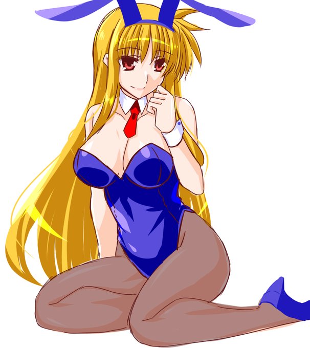 フェイトさんもバニーにしてた。
結構バニーにしてたなぁ
#バニーの日 