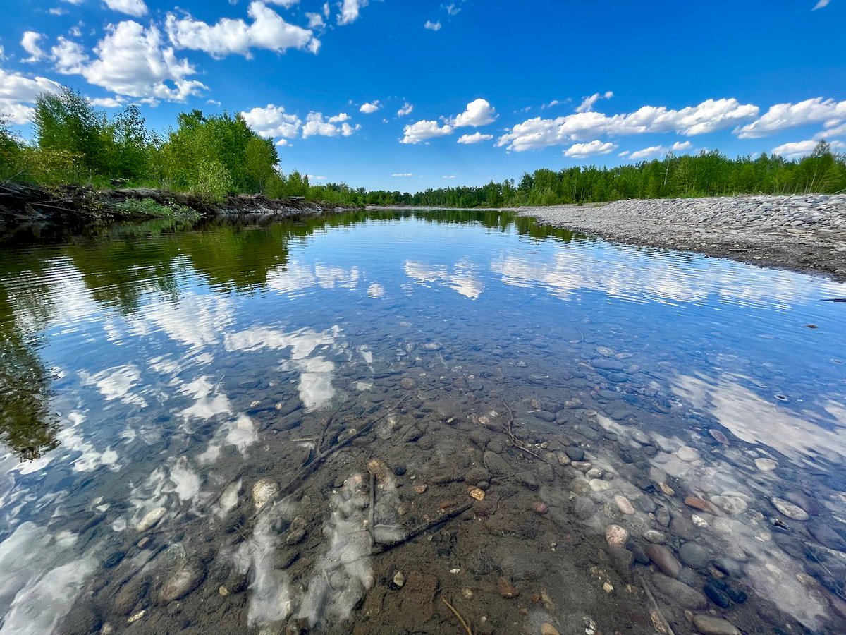 JasonKechely's tweet photo. Tasty cloud toppings on a #GallatinRiver Sundae...
#MontanaSummer #ScrumptiousClouds https://t.co/zqm35IKBlu