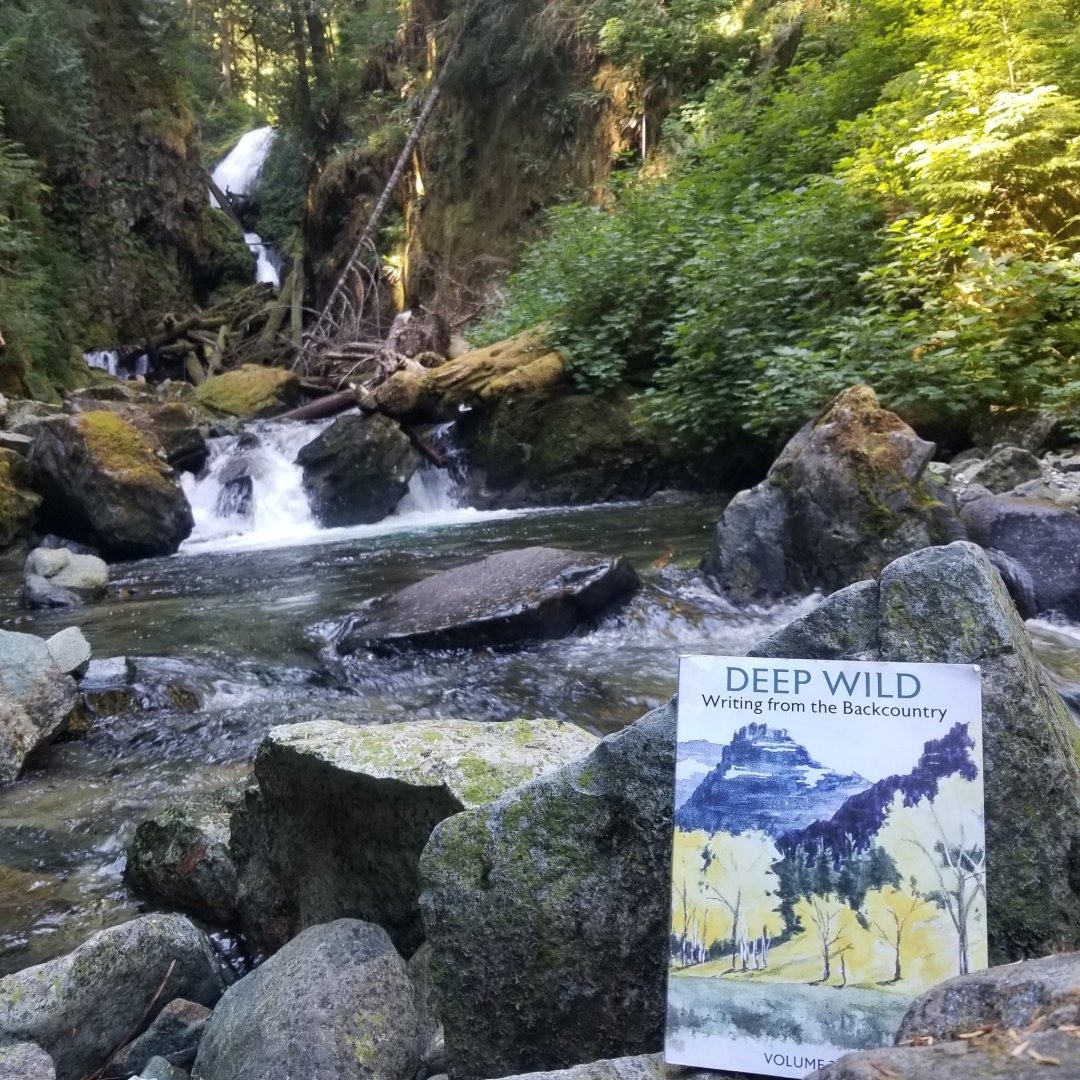 Deep Wild Journal tweet media