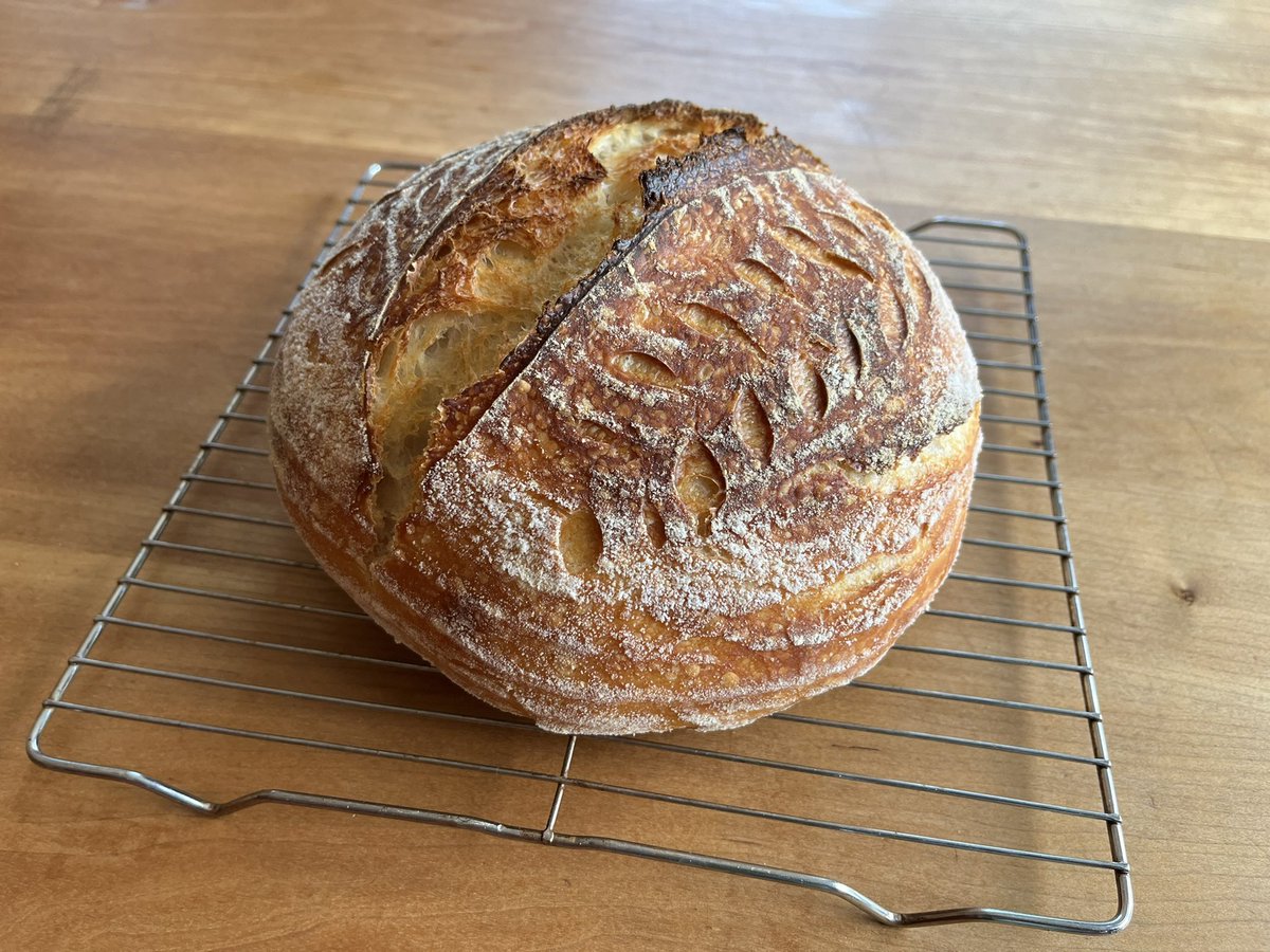 brianwindheim's tweet photo. My best-looking #sourdough in weeks. https://t.co/uOI1WXLmrb