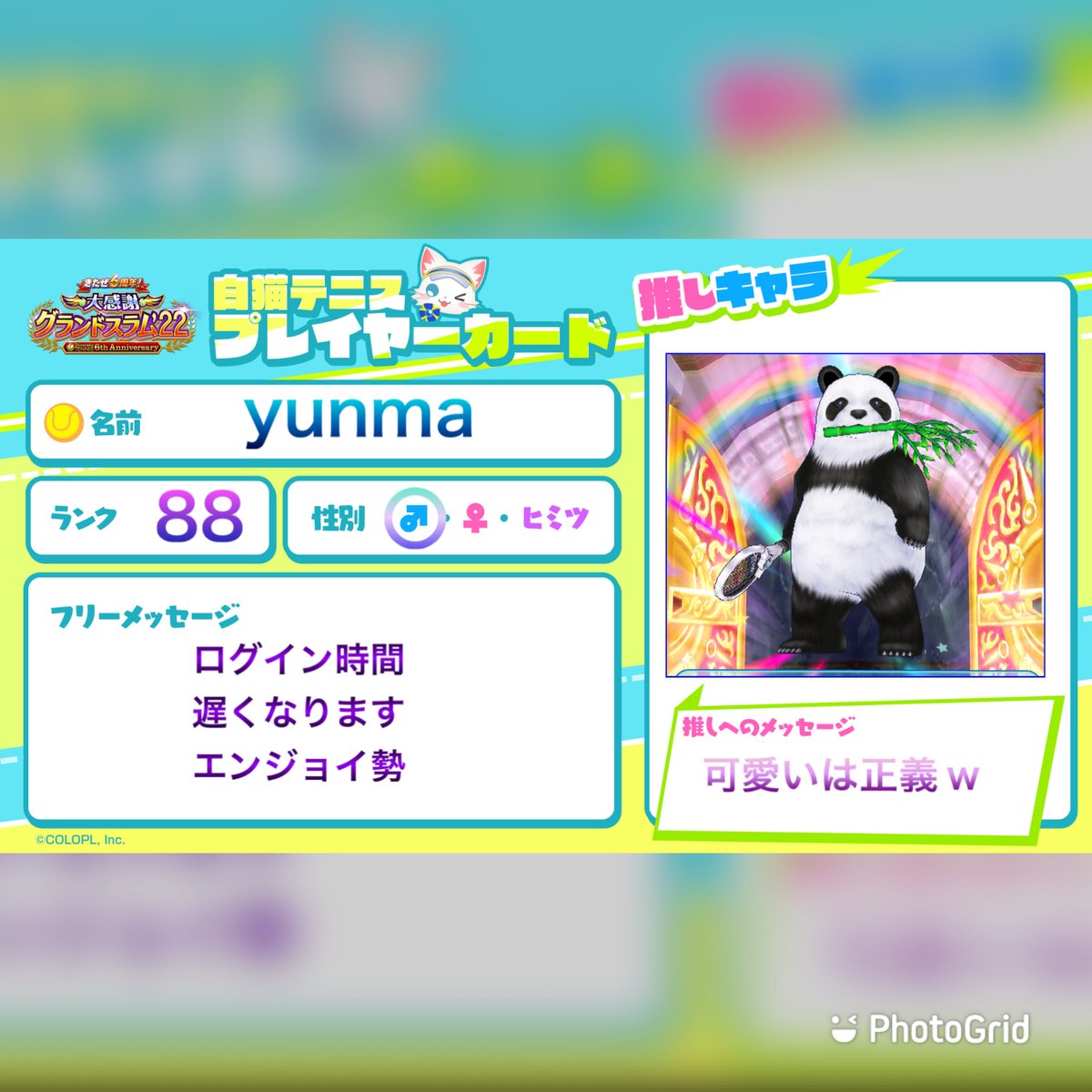 yunma123w's tweet photo. 白猫テニスプレイヤーカード

#白テニ6周年もみんなでつながり隊 https://t.co/DCtLlqyUS7