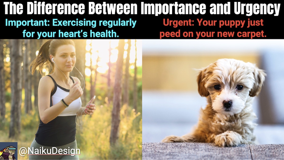 Sometimes, it's hard to focus on what really important. At @PGodjira, we don't focus on what's urgent. We focus on what's important. That's one reason why we're not your average #NFT project. Major kudos to <a href="/shanicucic96/">shan</a>!