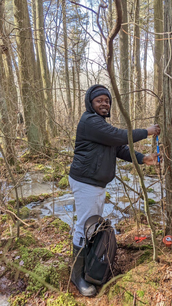 I'm Oluwatobi Oso, a second year PhD Student at Yale University. My interests are structural anatomy, evolution, and development. I'm currently studying the influence of bud-packing on leaf form at maturity - my study system is Viburnum. 

 #BlackBotanistsRollCall