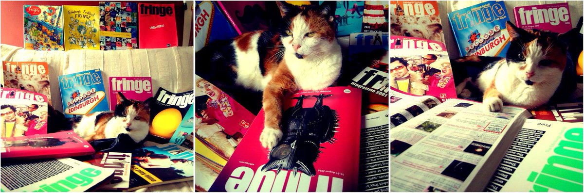 alcarretta's tweet photo. It's lucky that Bebe Saffs is no longer with us. With no #EdFringe22 programme sent out for her to parade with she would have gone on rampage. #PetsWithProgrammes https://t.co/rlkkujBf4x