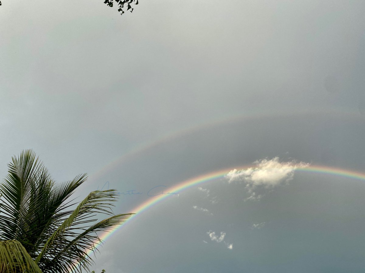 dianachasez23's tweet photo. Observa el cielo 🌈Colores 🌈 #DiaMundialDeLaAlegria 🙃 #arcoris 🌈 #Mérida #Yucatán 🌦 https://t.co/9861hMpfBw