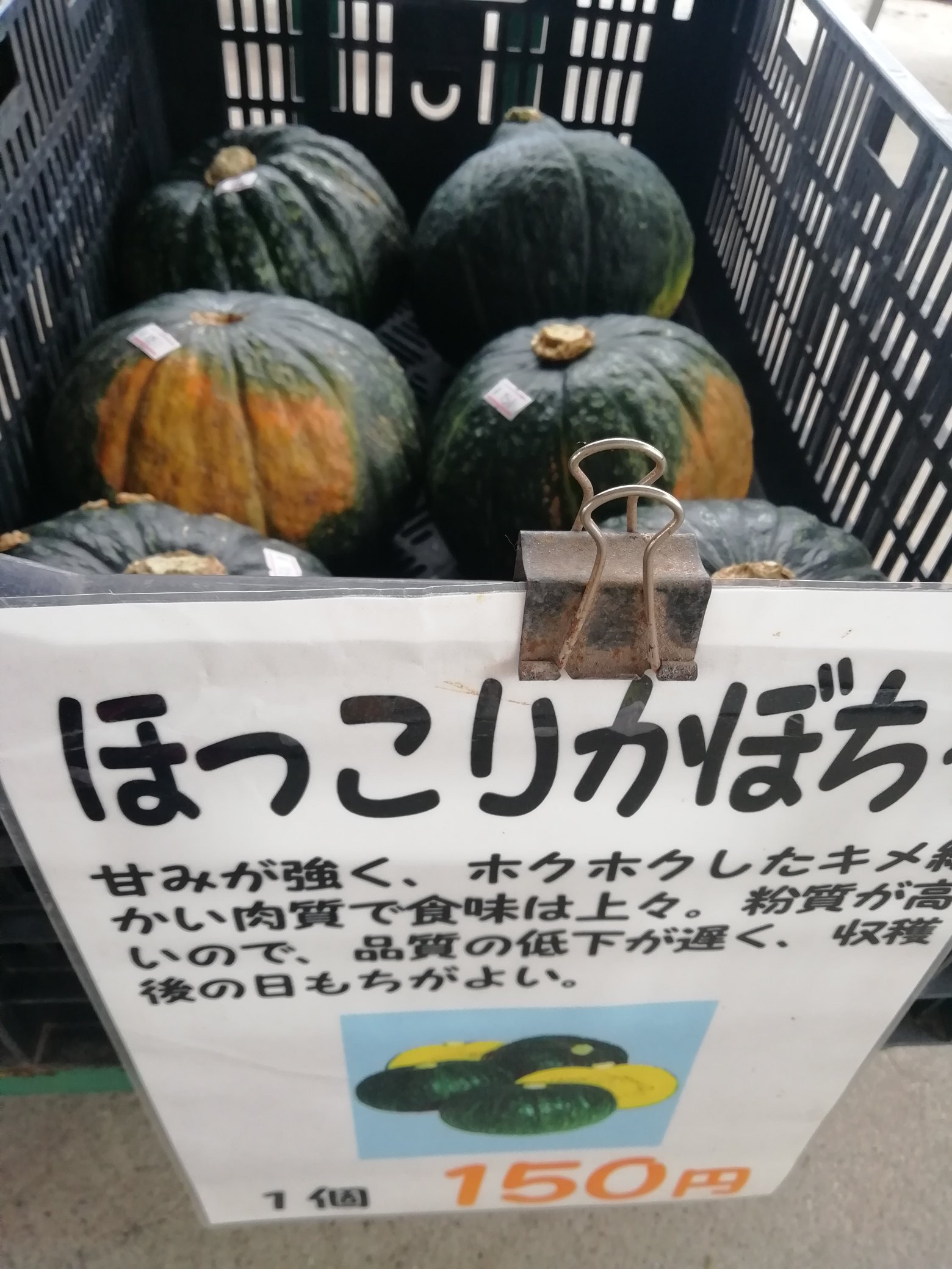 花のまつうら Fm4vt7jhd8eomel Twitter