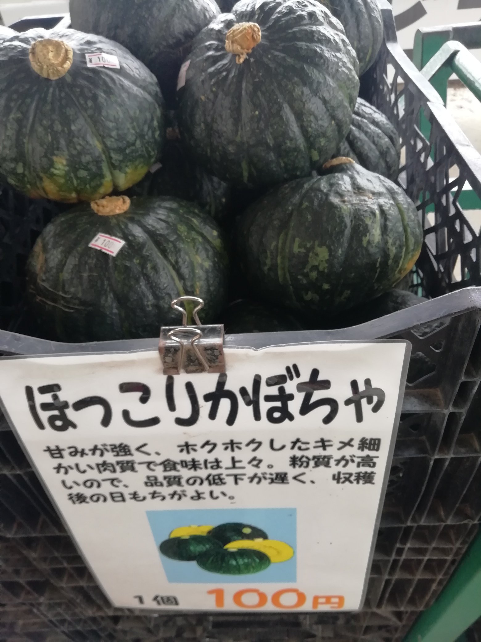 花のまつうら Fm4vt7jhd8eomel Twitter
