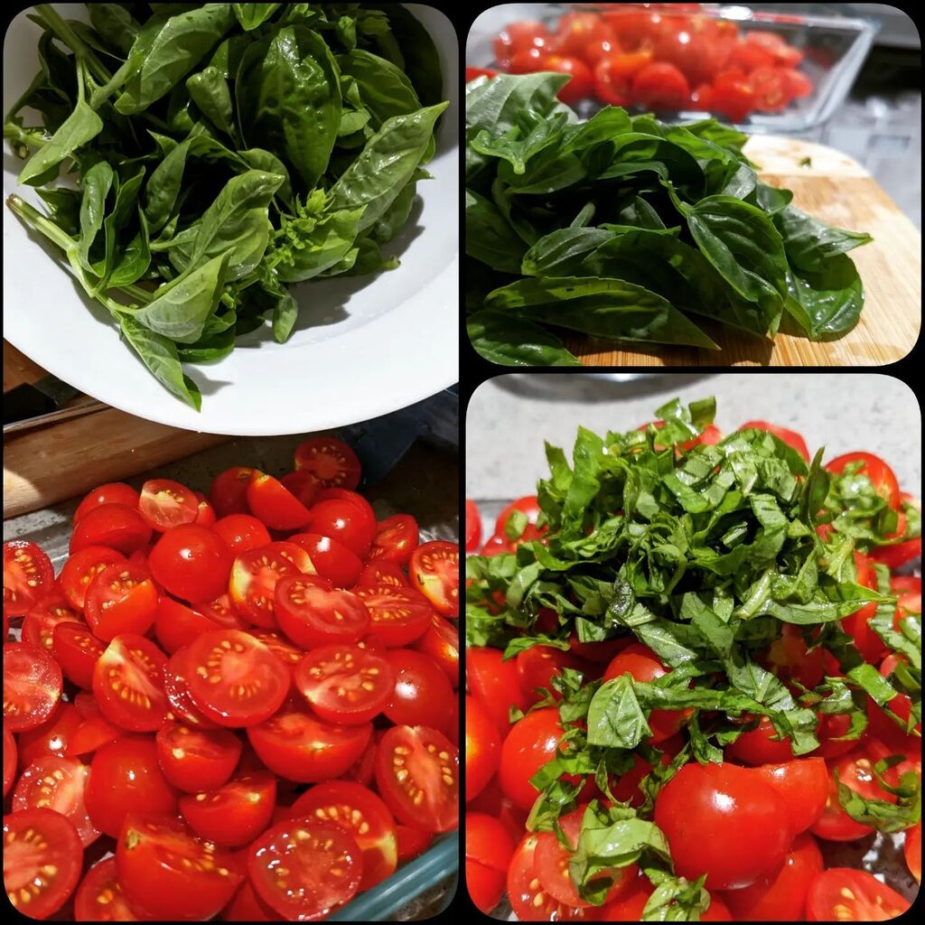 PathOfLily's tweet photo. Harvested fresh from our garden, I make this tomato basil salad at least 1-2x a week! My little one loves this salad, it's her favorite and she often has a full serving if not more during meals 😄 (wish I could say this about everything we make, but w… https://t.co/OXBtvY8KdG https://t.co/fqNrfGP4du