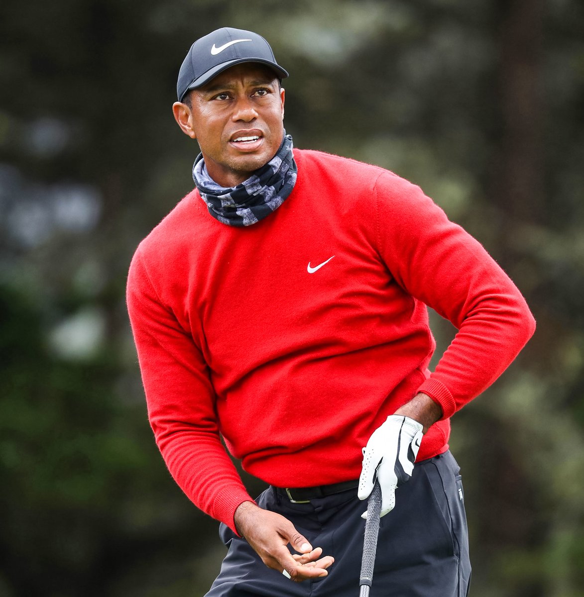 FOS's tweet photo. Greg Norman has revealed the offer LIV Golf made to Tiger Woods, per @samstein:

$700 million to $800 million 💰

Woods turned it down. https://t.co/8qQR8bedO1