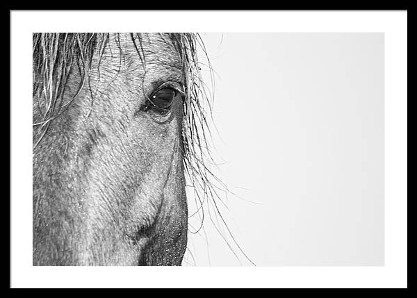 RDDecker's tweet photo. Wild Horse framed print. IT'S YOURS at https://t.co/MA8h5CQlSx
#BuyIntoArt #Wildhorses #WildMustang #wallart #fineart #frameprint #framedart #wildhorselove #blackandwhitephotography #wildlifephotography #equine #horsephotography #wildhorsephotography #homedecor https://t.co/jTKIGOHokD