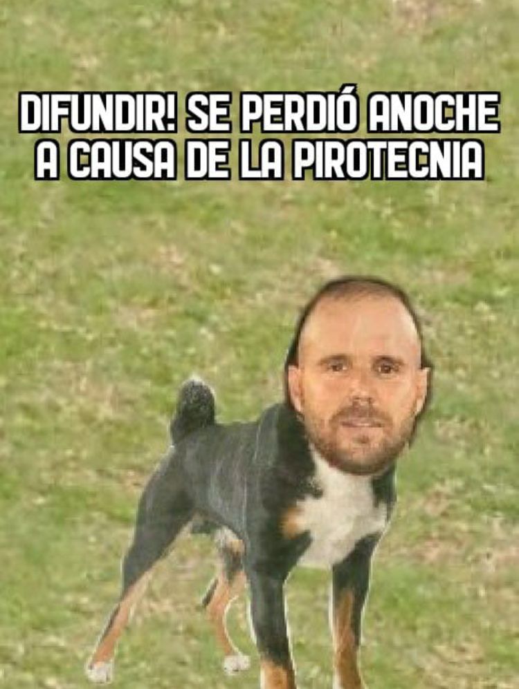 Avisen si lo ven 😂😂