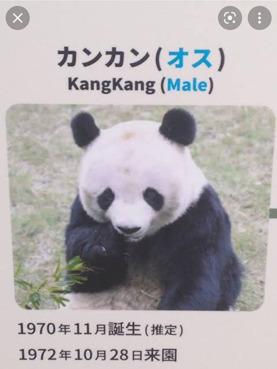 山田がカンカンをパンダ呼びしたのは上野動物園の初代パンダがカンカンとランランだったから。てか昭和なのに何で山田は知ってるんだよ(^_^;)
#僕ヤバ 