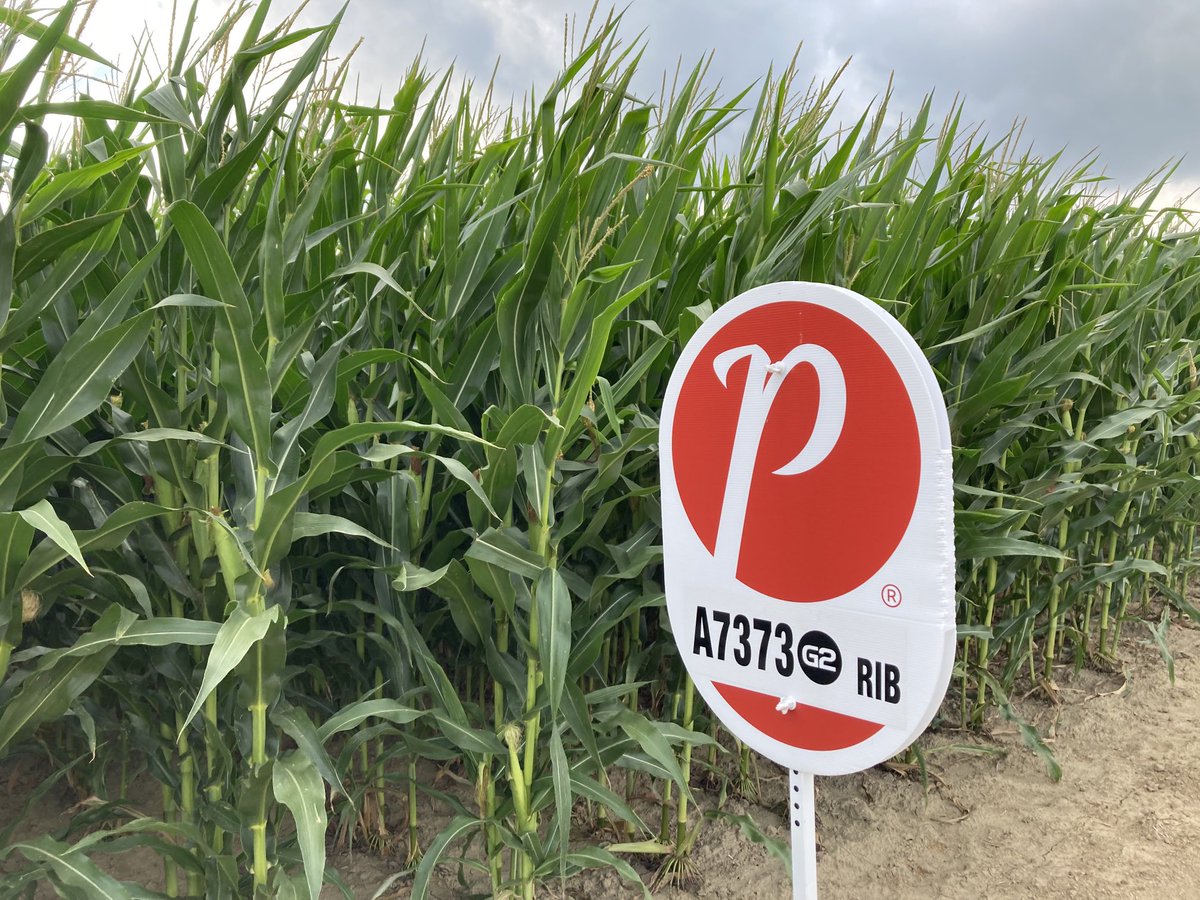 A  great Monday afternoon looking at PRIDE Seed products