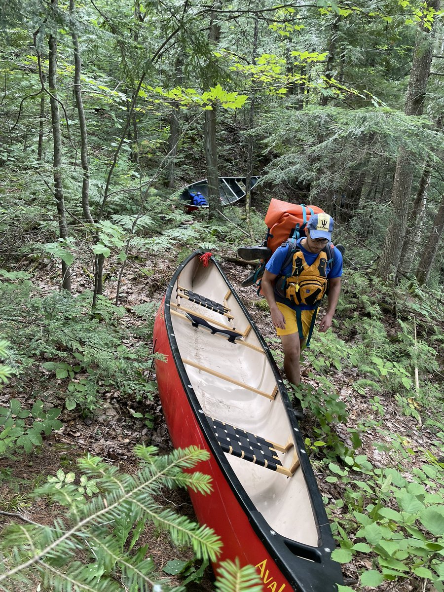 dd moreau tweet media