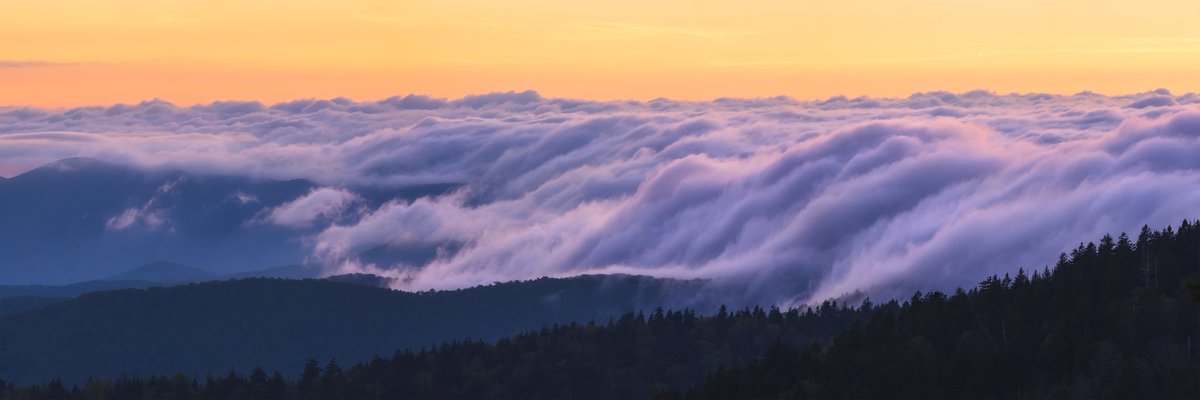 mikedyephoto's tweet photo. Low level clouds rolling over the Smokies during sunset at Clingmans Dome. Such a magical moment to see this, I only wish I had been up there earlier. I didn't even have the time to set up the tripod. https://t.co/DdRZkbbZWl