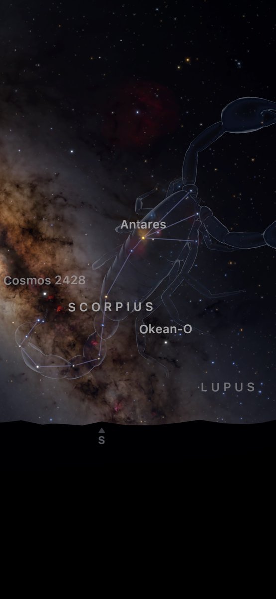 The Fattest Leech tweet media