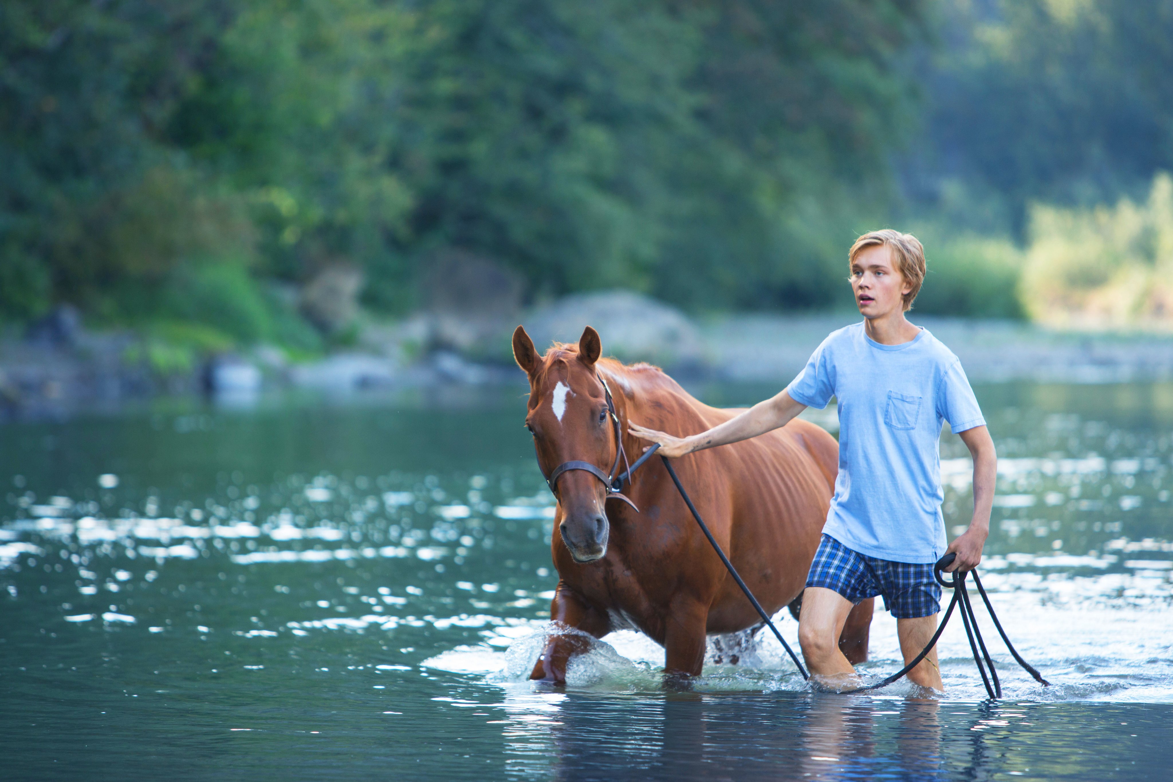 アンドリュー ヘイ Twitter Search Twitter