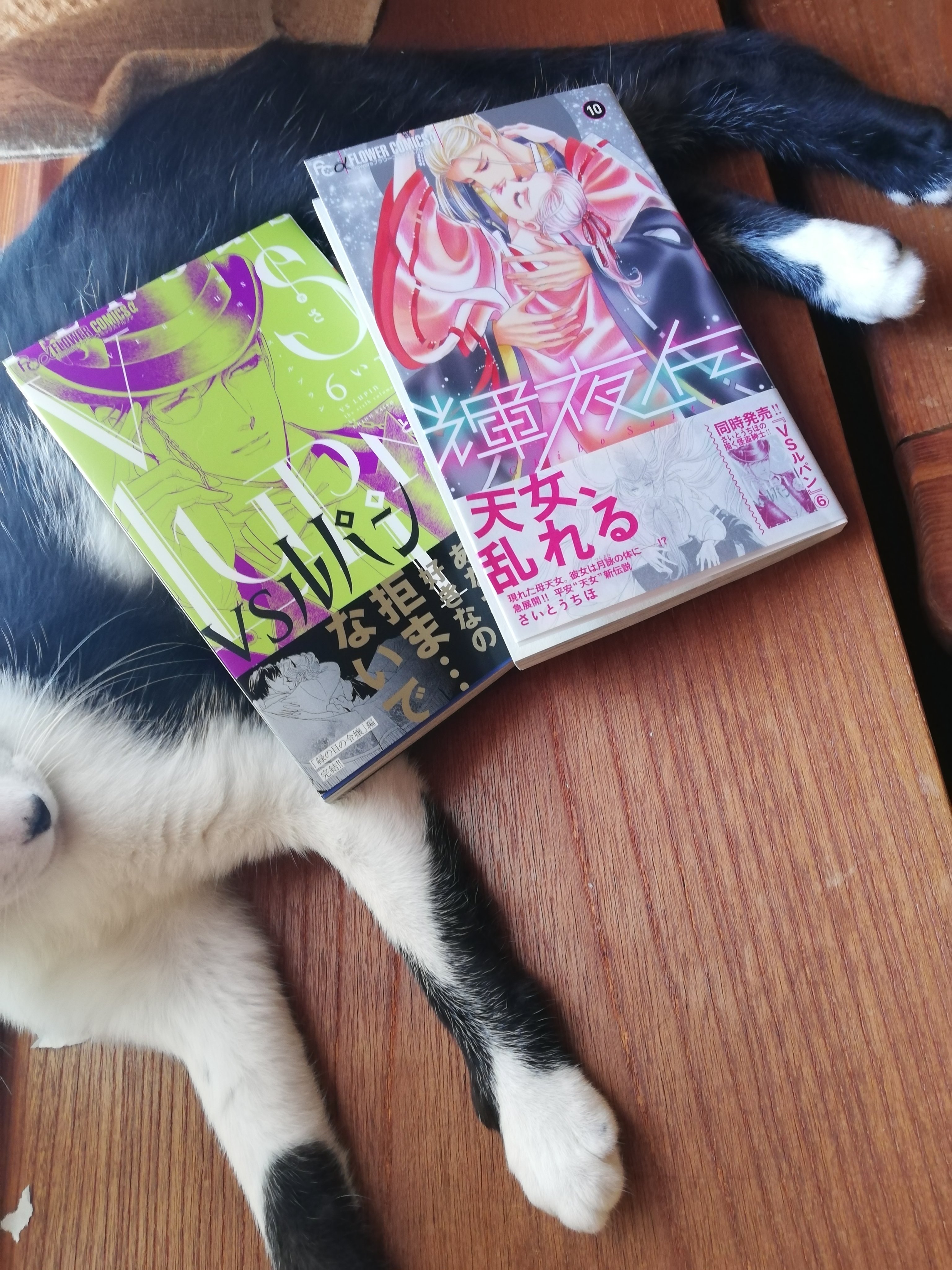 さいとう ちほ Chiho Saito Chihochat Twitter